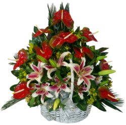 Wicker basket with anthurium, lilium and Alstroemeria flowers