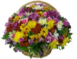 Round wicker basket with chrysanthemums, cloves and Alstroemeria