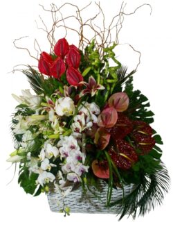 Wicker basket with anthurium, lilium and orchid flowers