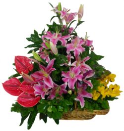 One-sided wicker basket with anthurium, lilium and orchid flowers