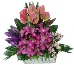 One-sided wicker basket with anthurium, lilium and orchid flowers