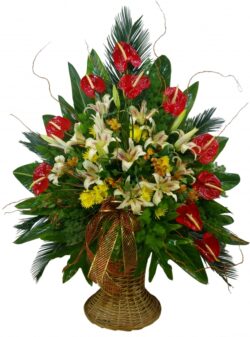 Funnel basket with anthurium, lilies, Alstroemeria and chrysanthemums