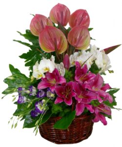 wicker basket with anthurium, lilium, lisianthus and orchid flowers