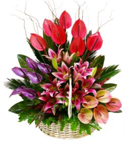 wicker basket with anthurium, lilium flowers