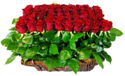 Nivan(Rectangular wicker basket with red rose)