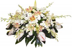 Gelaris(lilies, orchids and chrysanthemums)