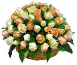 Hourshid(Round wicker basket - 80 white rose branches)