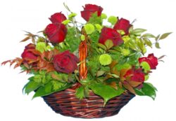 Solin(Oval basket with roses and chrysanthemums)