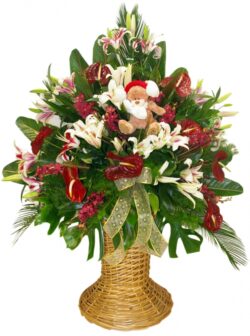 Naria(lilies, anthuriums and orchids with a bear)