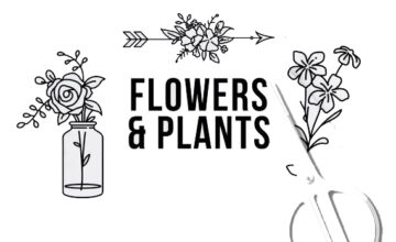 Flowers and Plants care