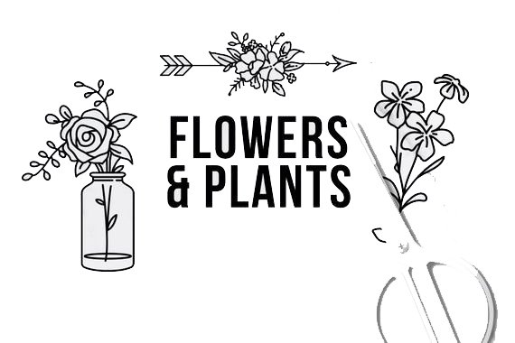 Flowers and Plants care