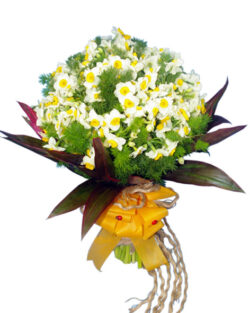 Narcissus Bouquet(decorated with Cordlin leaves)