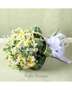 Narcissus bouquet(high quality)