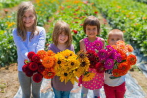 Sending flowers to your family in Iran